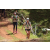 Team 15 / Jour 2 - Treck