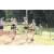 Team 17 / Jour 2 - Treck