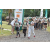 Team 26 / Jour 2 - Treck