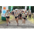 Team 15 / Jour 2 - Treck