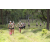 Team 18 / Jour 2 - Treck