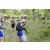 Team 42 / Jour 2 - Treck