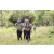Team 74 / Jour 2 - Treck