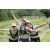 Team 34 / Jour 2 - Treck