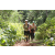 Team 13 / Jour 2 - Treck