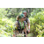 Team 72 / Jour 2 - Treck