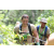 Team 71 / Jour 2 - Treck