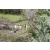 Team 14 / Jour 2 - Treck