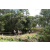 Team 31 / Jour 2 - Treck