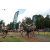 Team 28 / Jour 2 - Treck