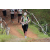 Team 80 / Jour 2 - Treck