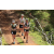 Team 50 / Jour 2 - Treck