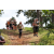 Team 46 / Jour 2 - Treck