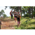 Team 66 / Jour 2 - Treck