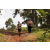 Team 13 / Jour 2 - Treck