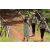 Team 26 / Jour 2 - Treck