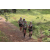 Team 63 / Jour 2 - Treck