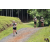 Team 19 / Jour 2 - Treck