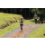 Team 47 / Jour 2 - Treck