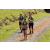 Team 71 / Jour 2 - Treck