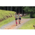 Team 49 / Jour 2 - Treck