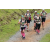 Team 58 / Jour 2 - Treck