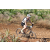 Team 07 / Jour 4 - VTT