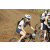 Team 12 / Jour 4 - VTT