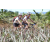 Team 15 / Jour 4 - VTT