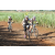 Team 23 / Jour 4 - VTT