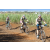 Team 25 / Jour 4 - VTT