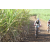 Team 20 / Jour 4 - VTT