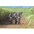 Team 34 / Jour 4 - VTT