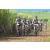 Team 36 / Jour 4 - VTT