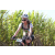 Team 47 / Jour 4 - VTT