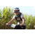 Team 47 / Jour 4 - VTT