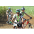 Team 33 / Jour 4 - VTT