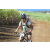 Team 33 / Jour 4 - VTT