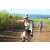 Team 41 / Jour 4 - VTT