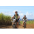 Team 52 / Jour 4 - VTT