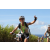 Team 52 / Jour 4 - VTT