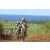 Team 40 / Jour 4 - VTT