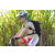 Team 59 / Jour 4 - VTT