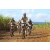 Team 57 / Jour 4 - VTT