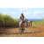 Team 58 / Jour 4 - VTT