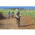 Team 56 / Jour 4 - VTT