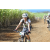 Team 56 / Jour 4 - VTT