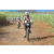 Team 55 / Jour 4 - VTT