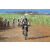Team 71 / Jour 4 - VTT