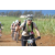 Team 71 / Jour 4 - VTT